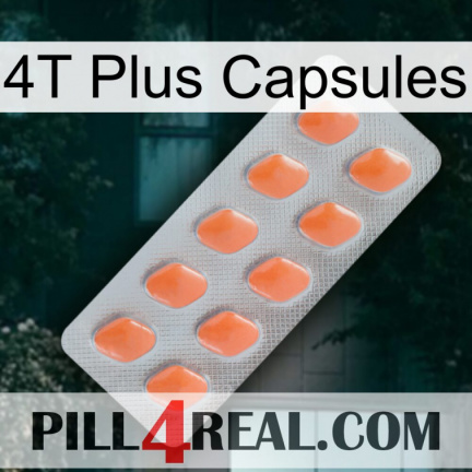 4T Plus Capsules 26